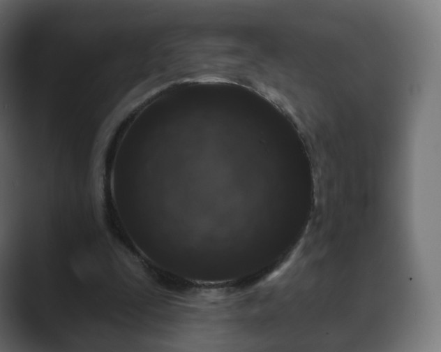 X0000089700295200706281459