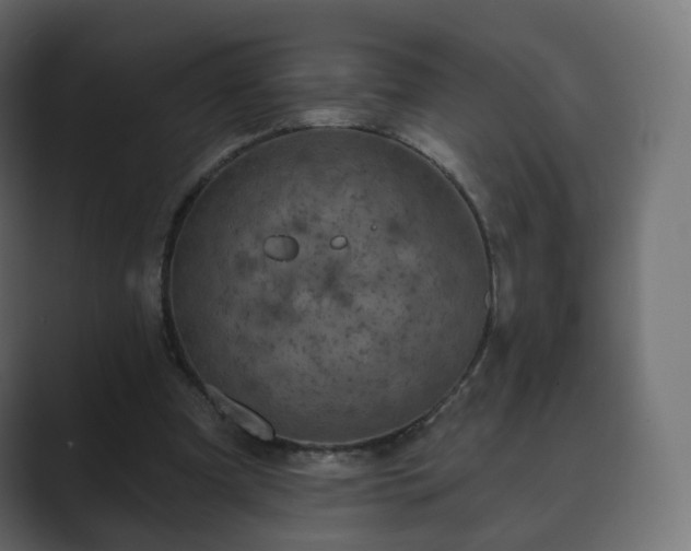 X0000089700297200706281459