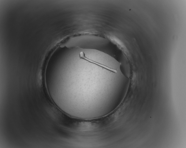 X0000089700298200706281459