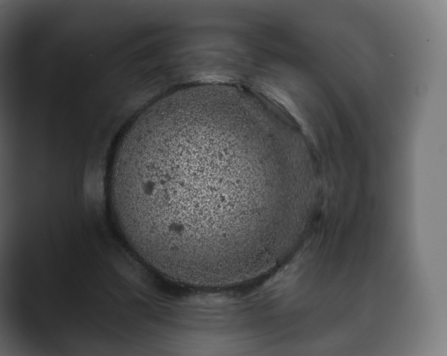 X0000089700299200706281459