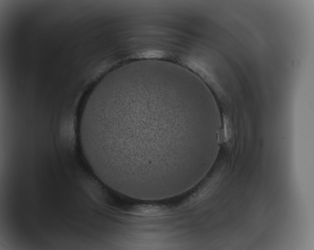 X0000089700300200706281459