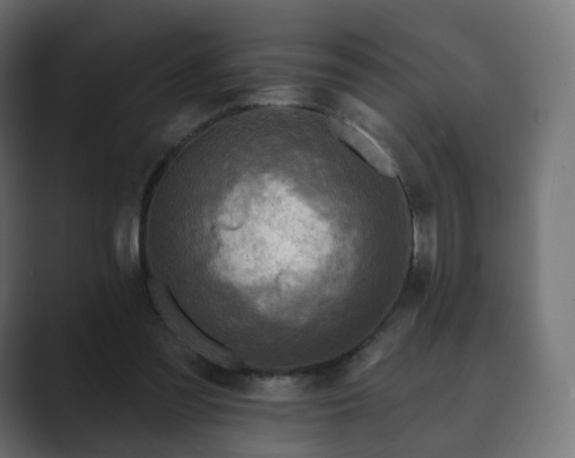 X0000089700301200706281459