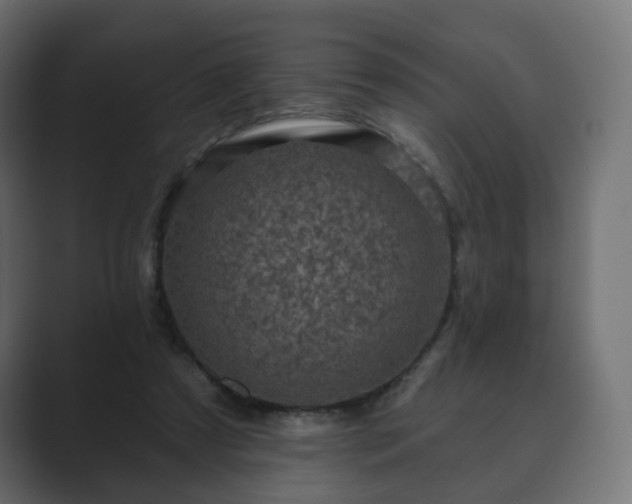 X0000089700305200706281459