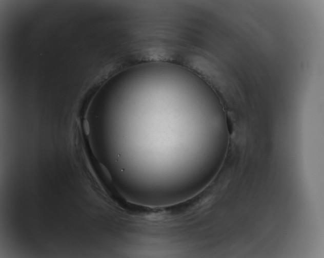 X0000089700306200706281459