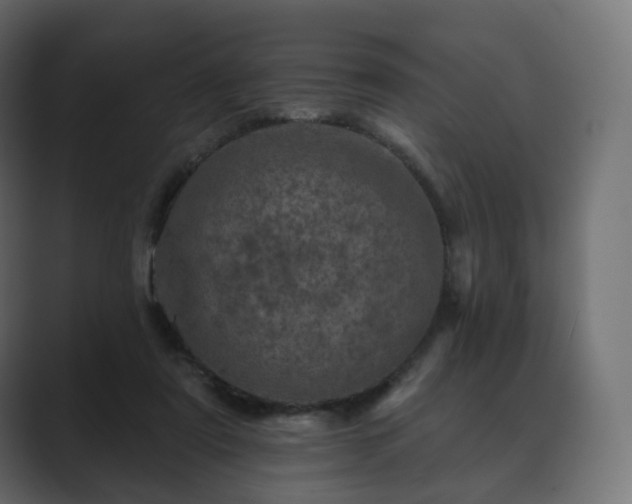 X0000089700307200706281459