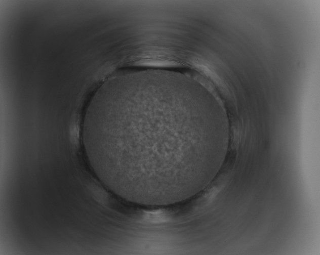 X0000089700309200706281459