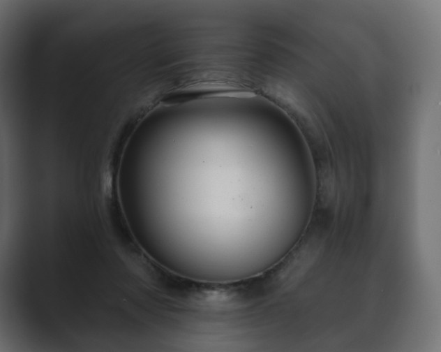 X0000089700310200706281459