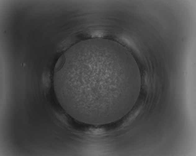 X0000089700311200706281459