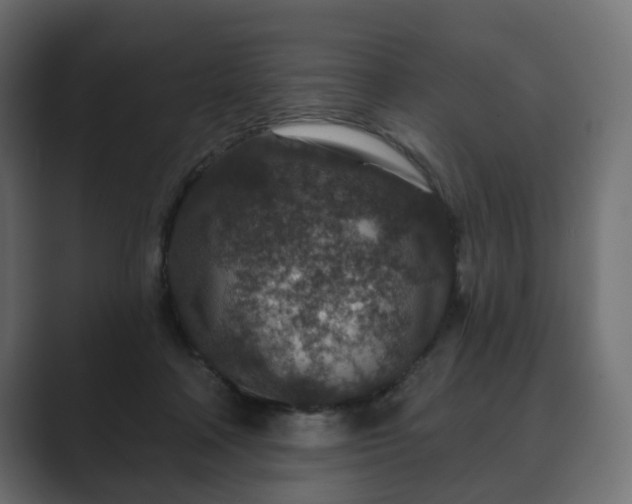 X0000089700314200706281459