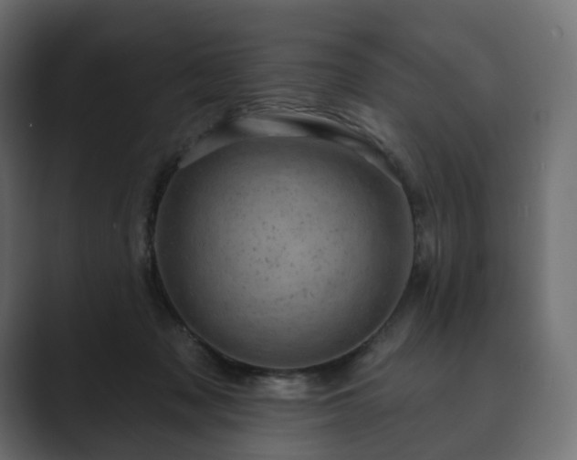 X0000089700317200706281459