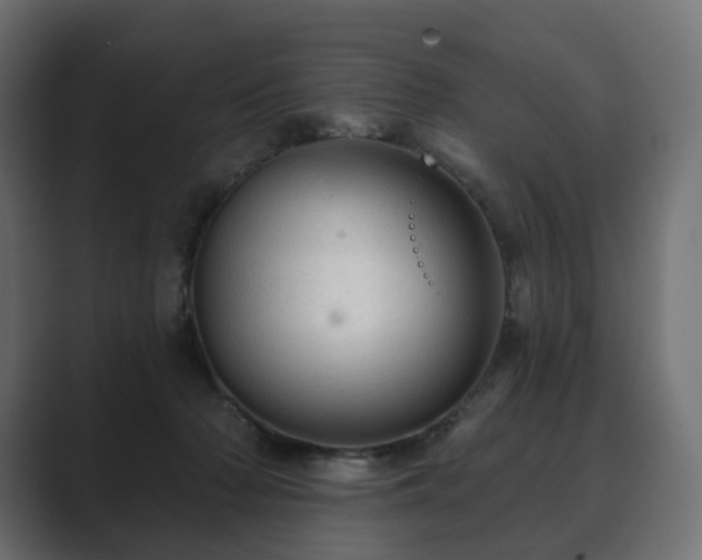 X0000089700318200706281459