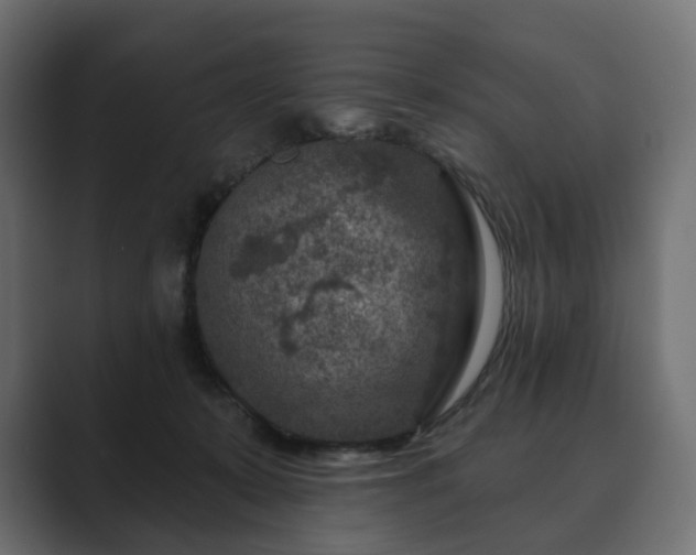 X0000089700319200706281459