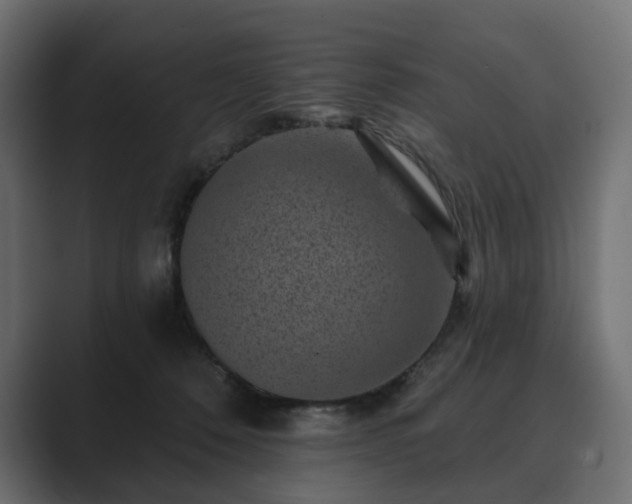 X0000089700320200706281459