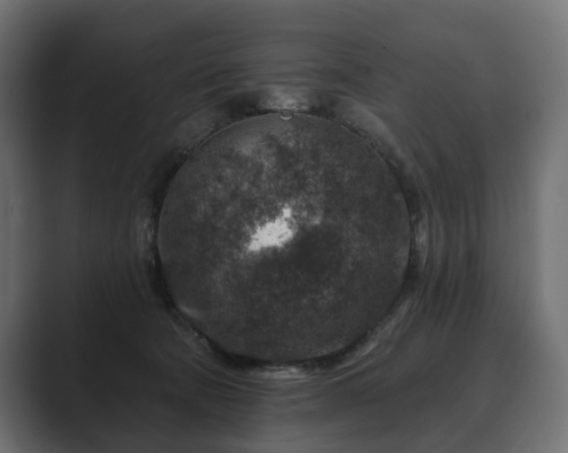 X0000089700322200706281459