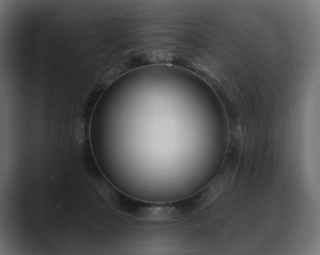 X0000089700323200706281459