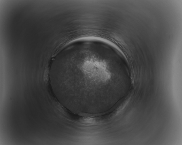 X0000089700325200706281459