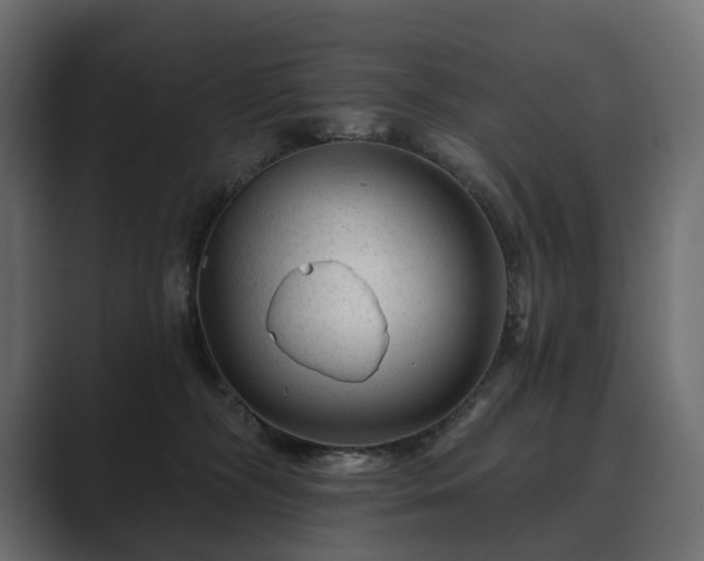 X0000089700326200706281459