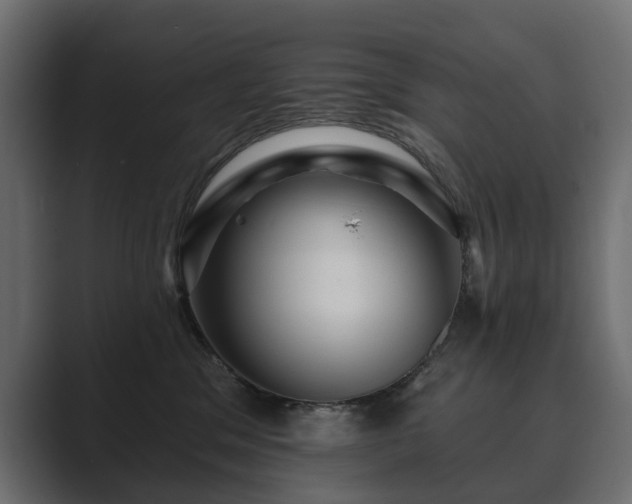 X0000089700329200706281459