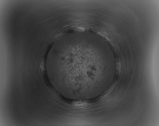 X0000089700331200706281459