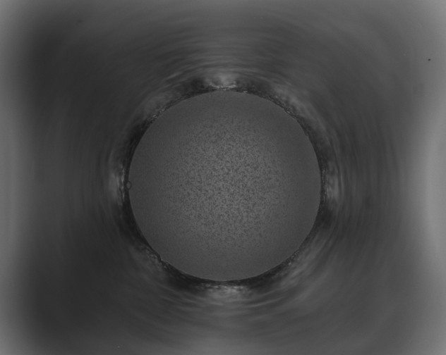 X0000089700332200706281459