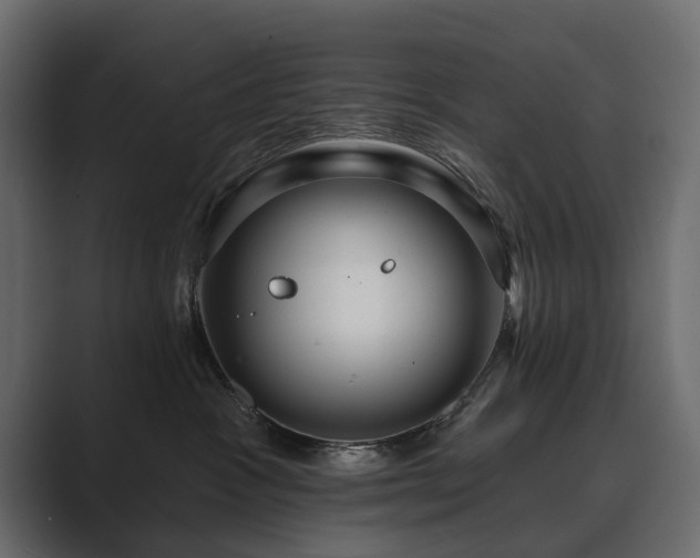 X0000089700333200706281459