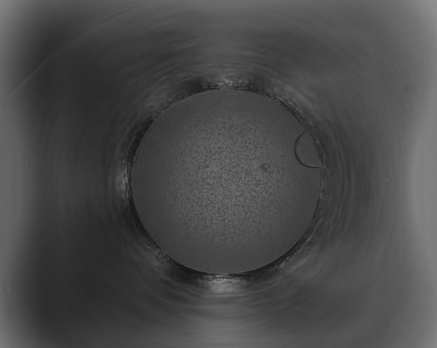 X0000089700336200706281459