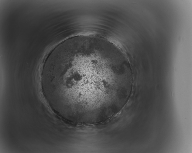 X0000089700337200706281458