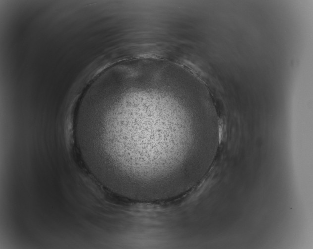 X0000089700339200706281458