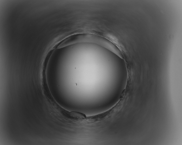 X0000089700340200706281458