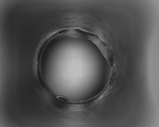 X0000089700342200706281458