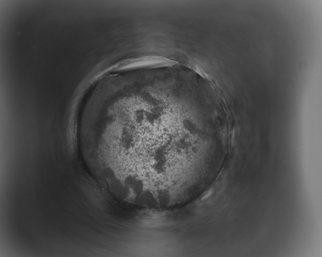 X0000089700343200706281458