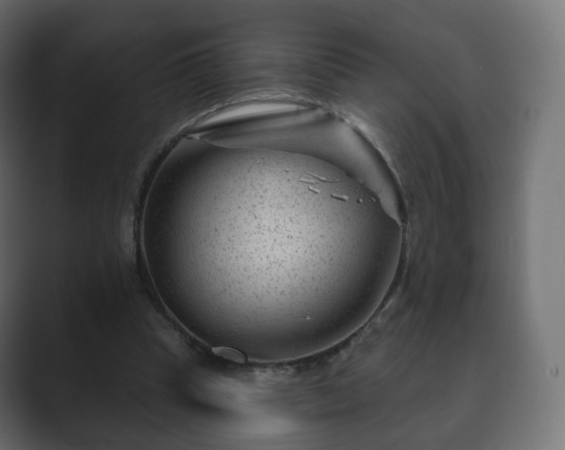 X0000089700345200706281458