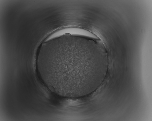 X0000089700346200706281458