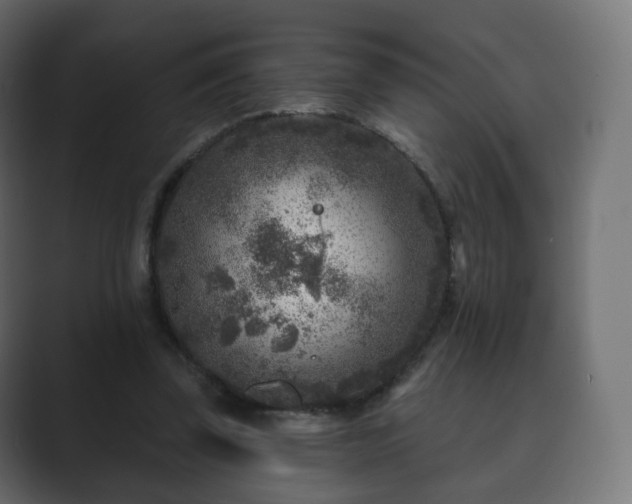 X0000089700347200706281458