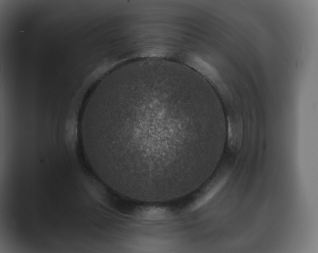 X0000089700348200706281458