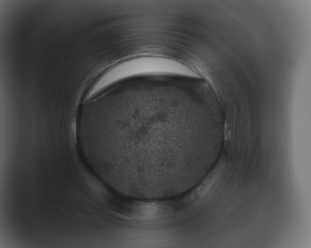 X0000089700349200706281458