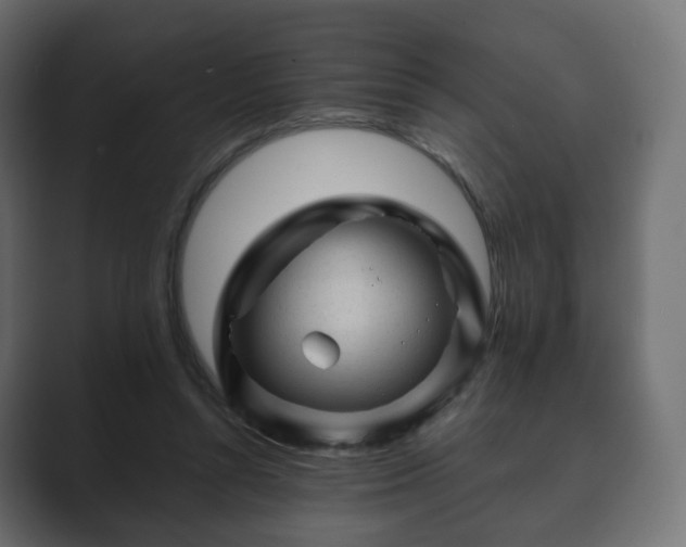 X0000089700352200706281458