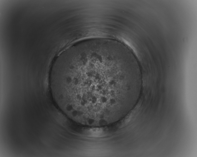 X0000089700353200706281458