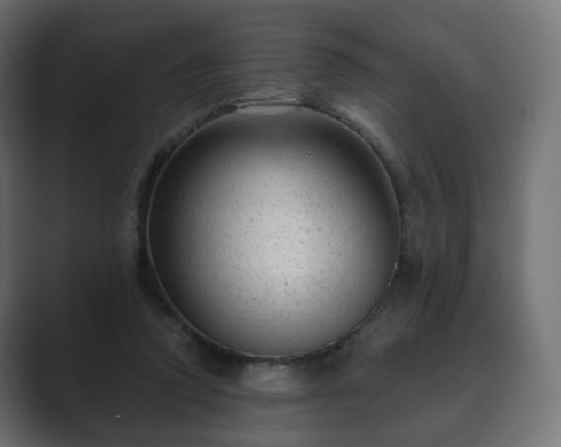 X0000089700354200706281458