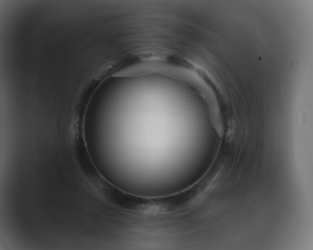 X0000089700356200706281458