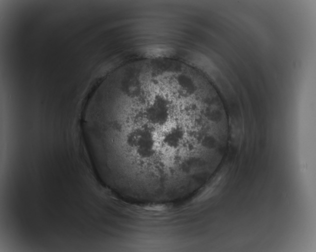 X0000089700357200706281458