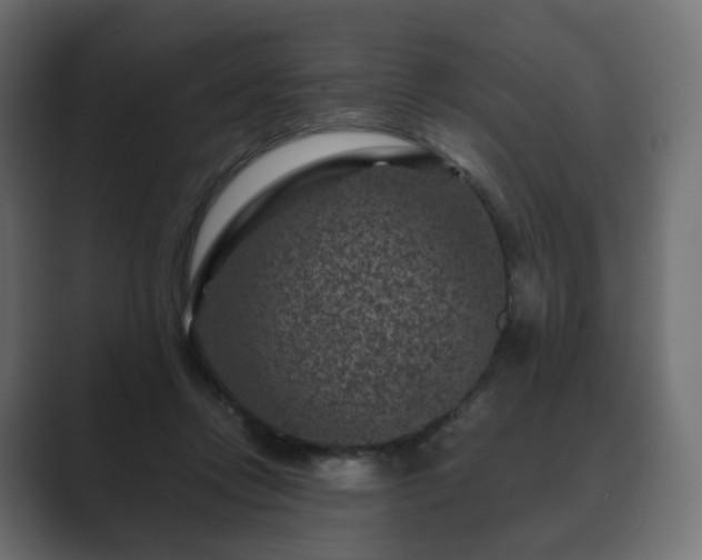 X0000089700358200706281458