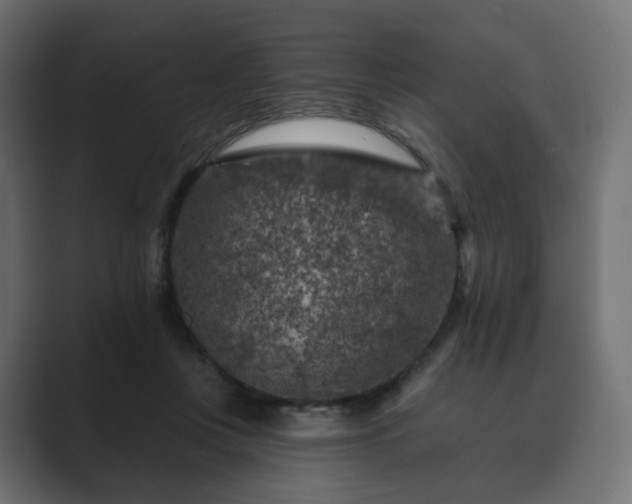 X0000089700359200706281459