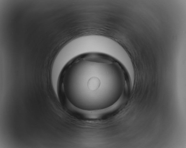 X0000089700360200706281459