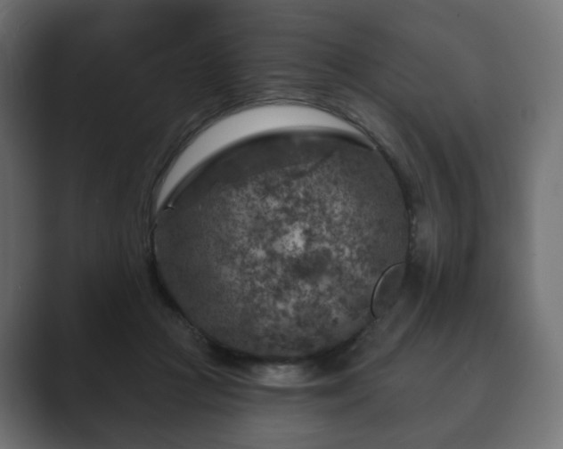 X0000089700361200706281459