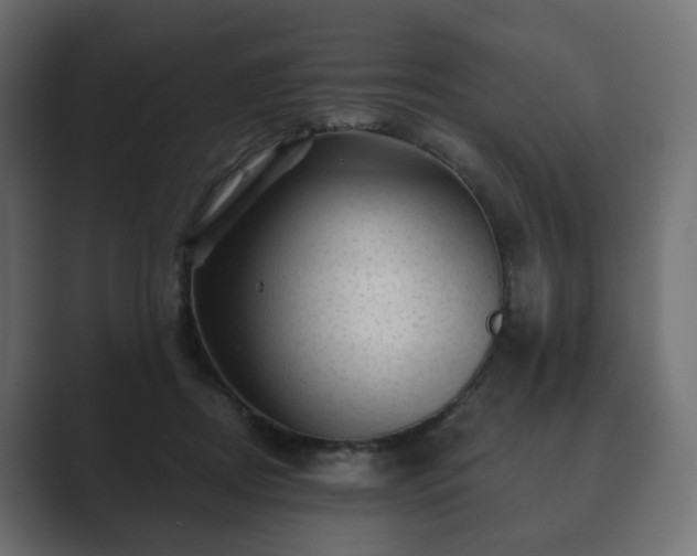 X0000089700362200706281459