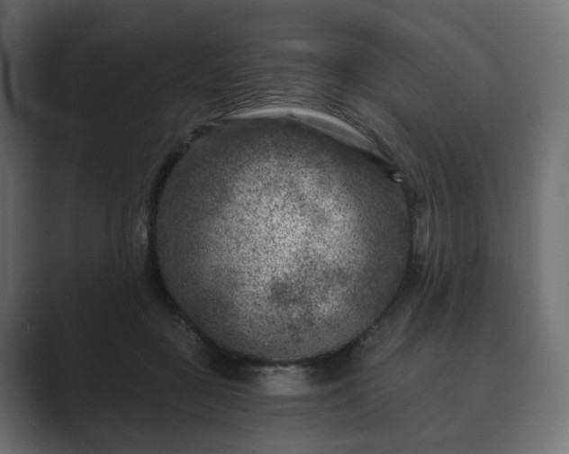 X0000089700363200706281459