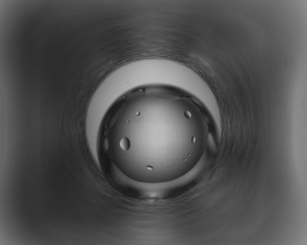 X0000089700364200706281459