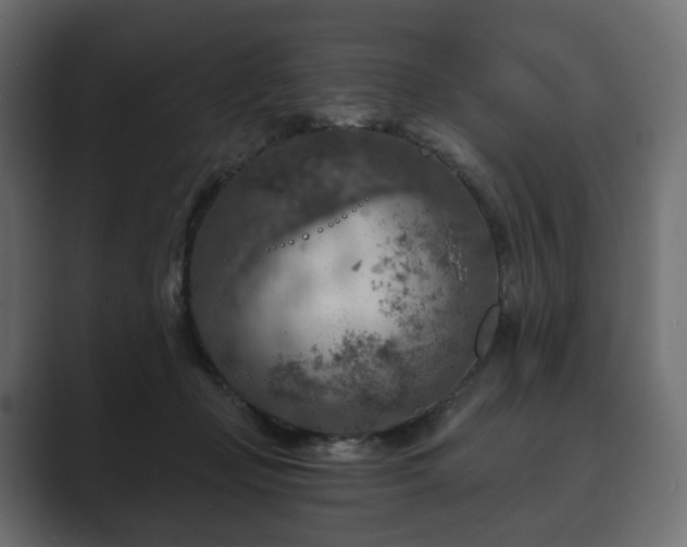 X0000089700365200706281459