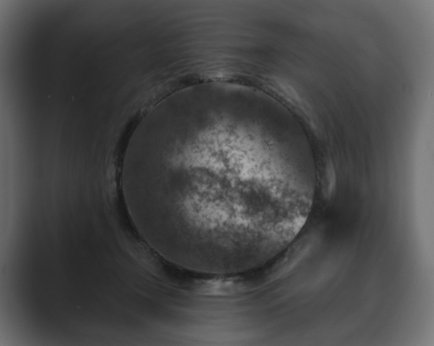 X0000089700366200706281459